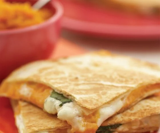 Anything Goes Quesadilla Recipe