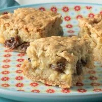 Apple and Raisin Honey Squares Recipe