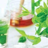 Mint Tea Recipe