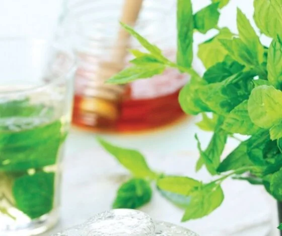Mint Tea Recipe