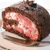 Spiced Apple and Cranberry Chocolate Roulade Recipe