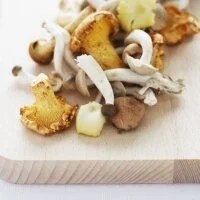 Mushroom and Nutmeg Ravioli with a Lemon Dill Sauce Recipe