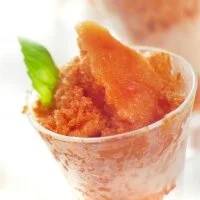 Tomato Sorbet Recipe