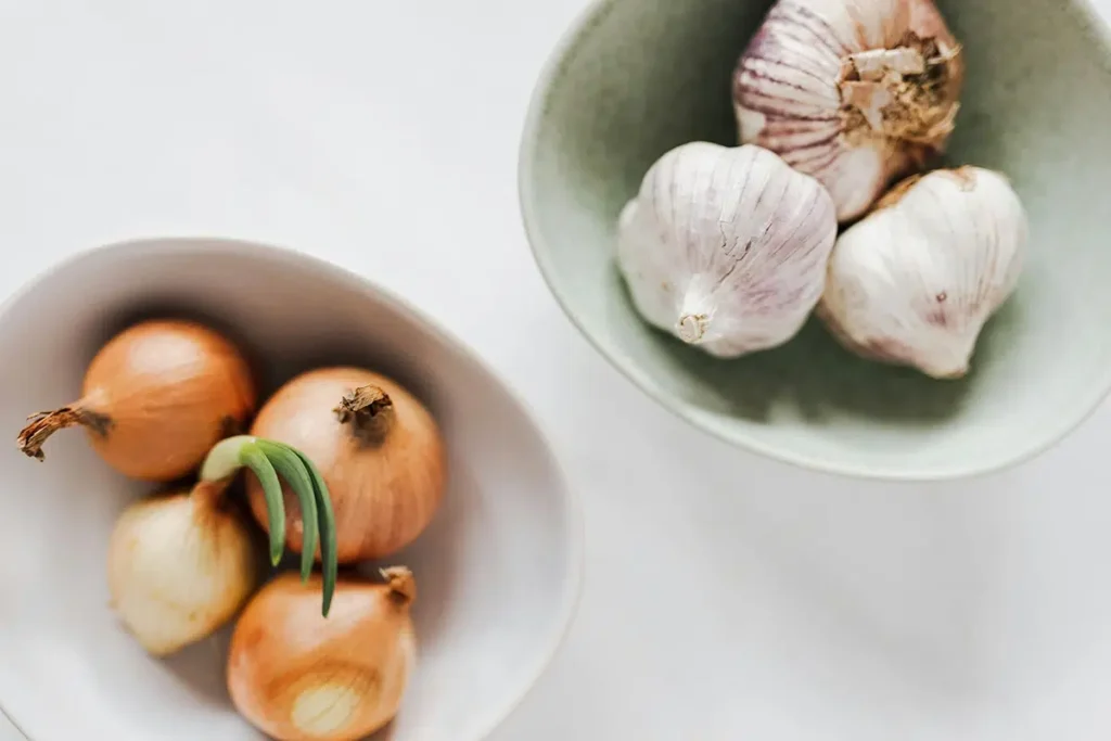 What are the benefits of prebiotics?